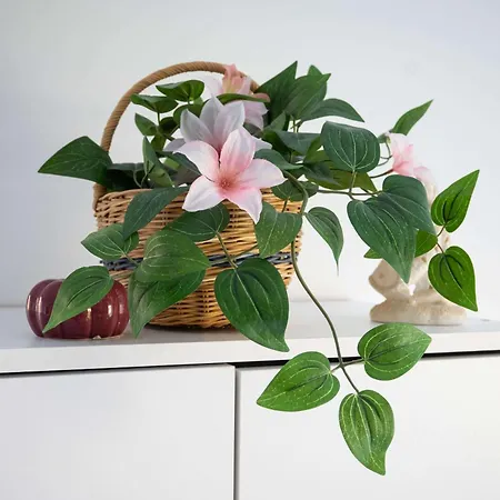 Jacobs Legacy - 4 Bedroom Private House Ljubljana