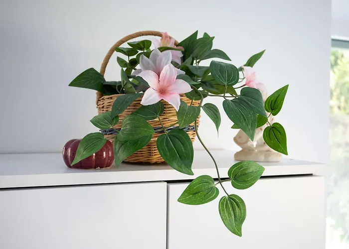 Jacobs Legacy - 4 Bedroom House, Free Parking, Near Center